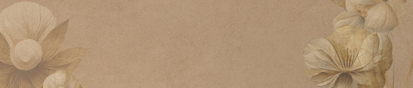 collection-banner-image